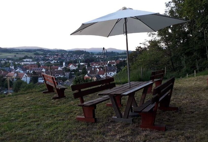 Пансион Alter Hof Mörlenbach