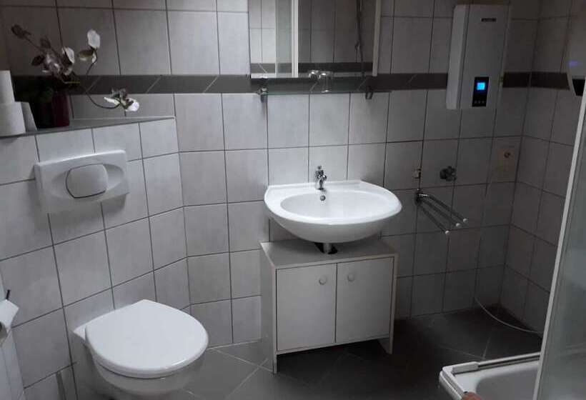 Пансион Alter Hof Mörlenbach