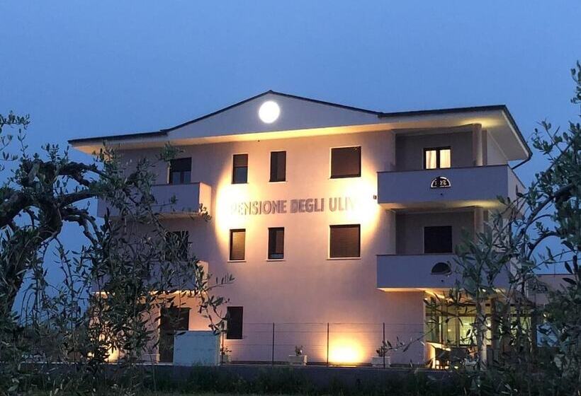 Bed and Breakfast Pensione Degli Ulivi