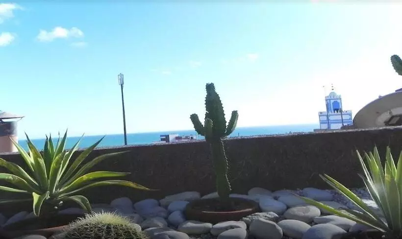 Taghazout Surf Dream   Hostel