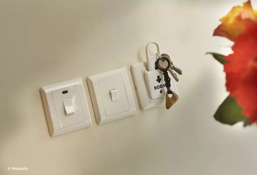 تختخواب و صبحانه Provicario