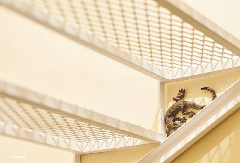 تختخواب و صبحانه Provicario