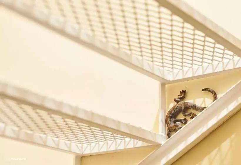 تختخواب و صبحانه Provicario