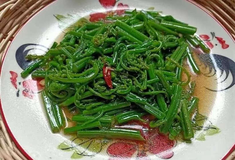 Majatalo Homestay Baan Auy Chiang Mai