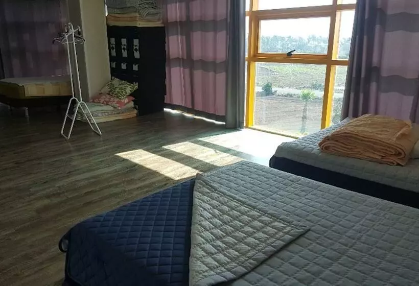 The Freedom Hostel