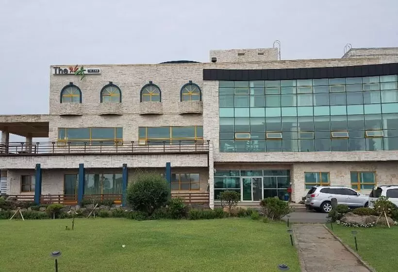 The Freedom Hostel