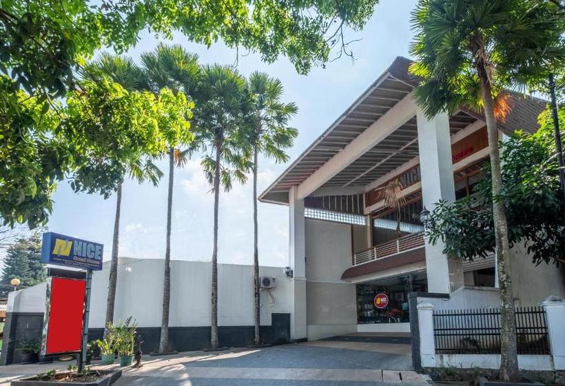 Szálló Nice Guesthouse