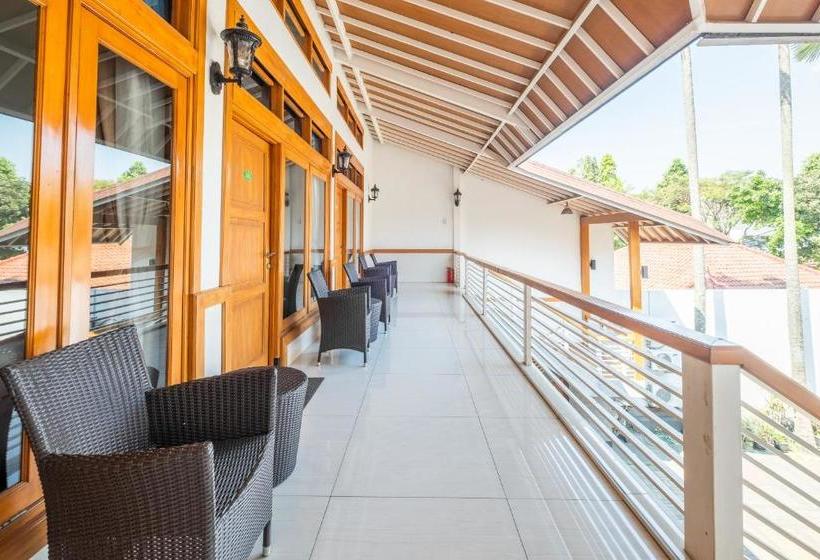 Szálló Nice Guesthouse