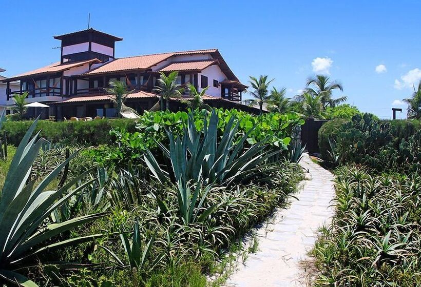 הוסטל Oceanica 1000 Beachfront Suites