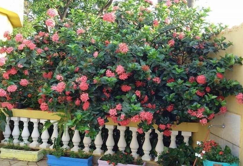 酒店 Pousada Da Célia