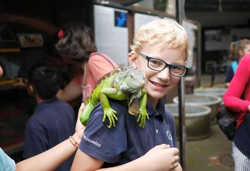 פנסיון Chill Vibe Hostel