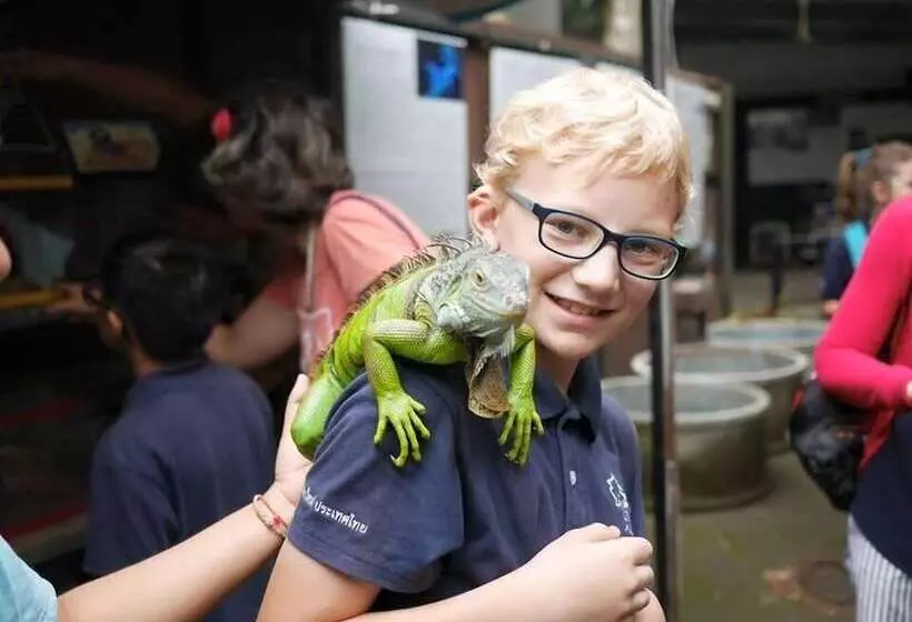 Majatalo Chill Vibe Hostel