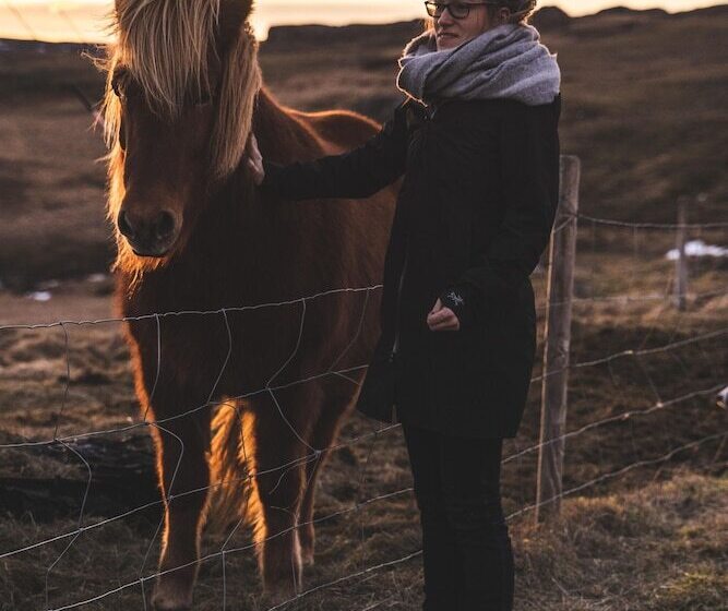 پانسیون Litlabjarg Guesthouse