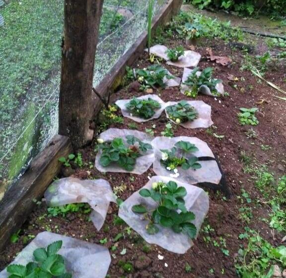 Bed and Breakfast Banga An Bnb And Coffee House