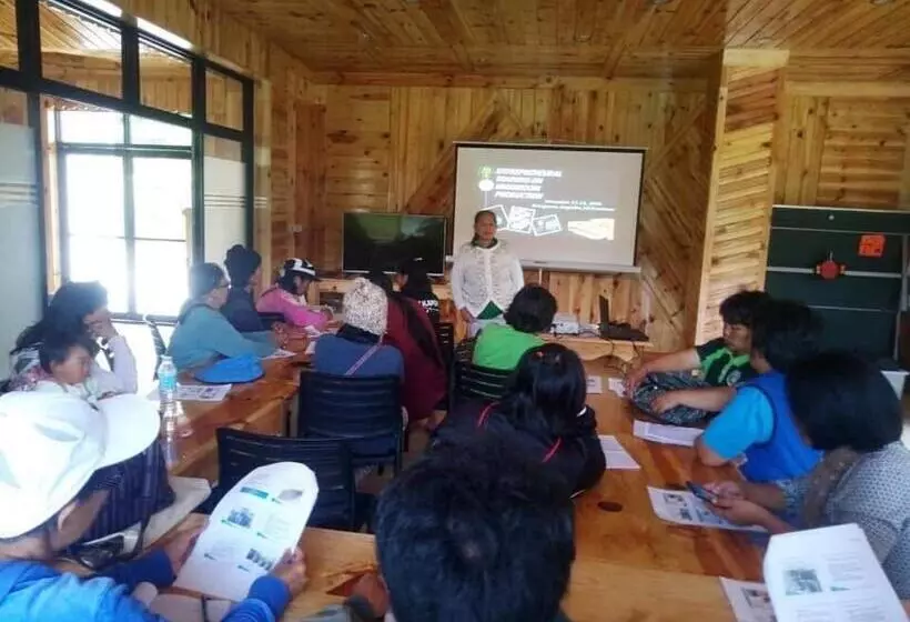 ベッドアンドブレックファースト Banga An Bnb And Coffee House