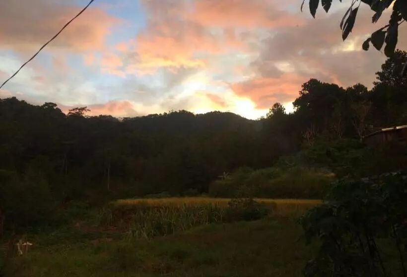 ベッドアンドブレックファースト Banga An Bnb And Coffee House