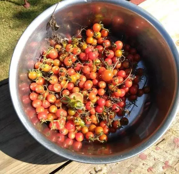 ベッドアンドブレックファースト Banga An Bnb And Coffee House