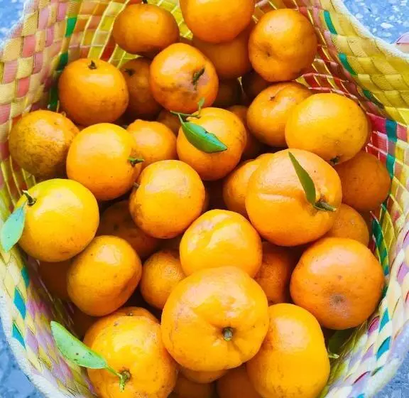 ベッドアンドブレックファースト Banga An Bnb And Coffee House