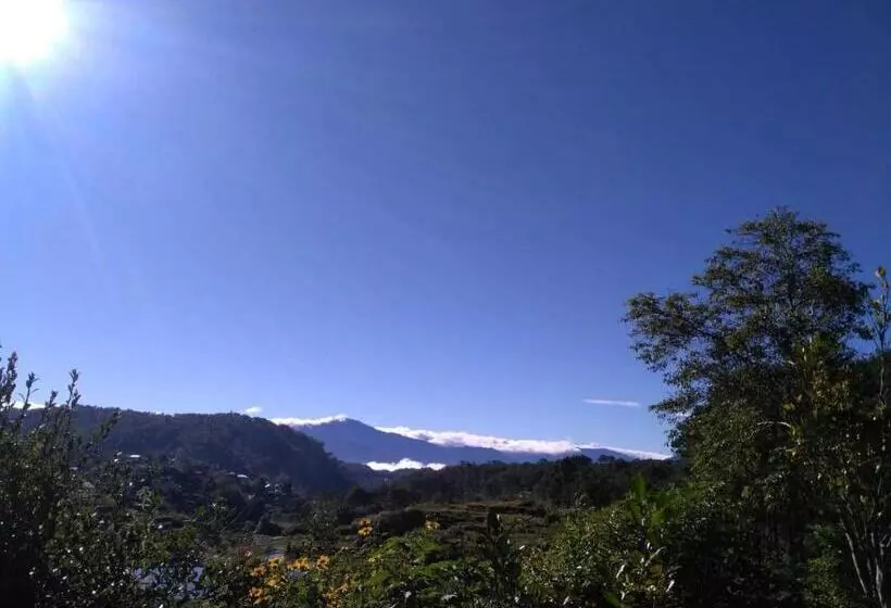 ベッドアンドブレックファースト Banga An Bnb And Coffee House