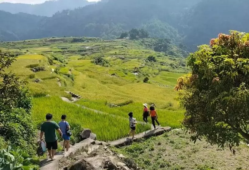 ベッドアンドブレックファースト Banga An Bnb And Coffee House