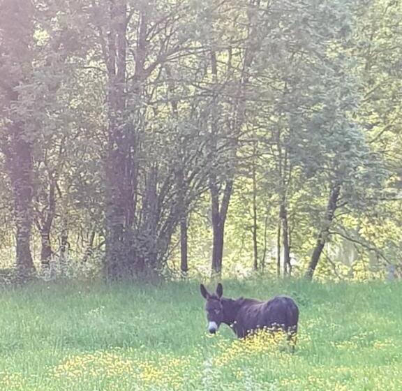 צימר Bocage Belle Histoire