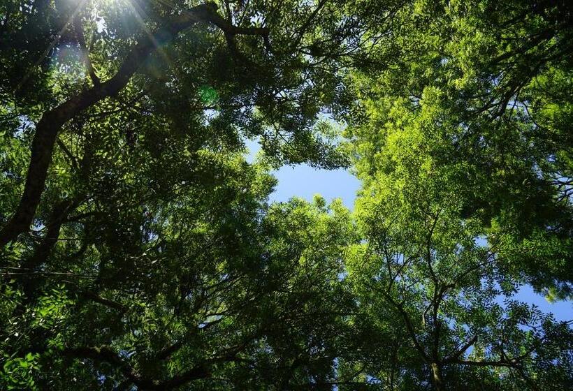 צימר Bocage Belle Histoire