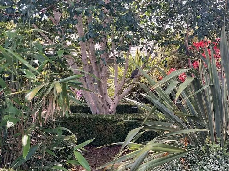 Aamiaismajoitus (B&B) Hemples Lodge