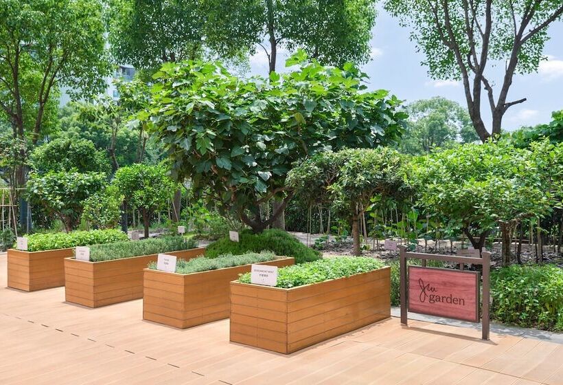 Jw Marriott Marquis Hotel Shanghai Pudong