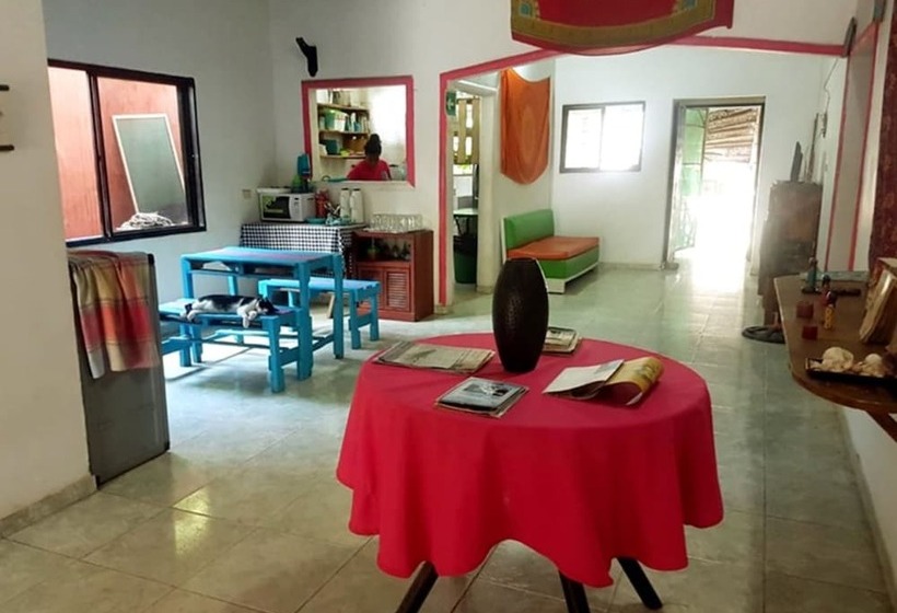 Oasis Hostal Restaurante