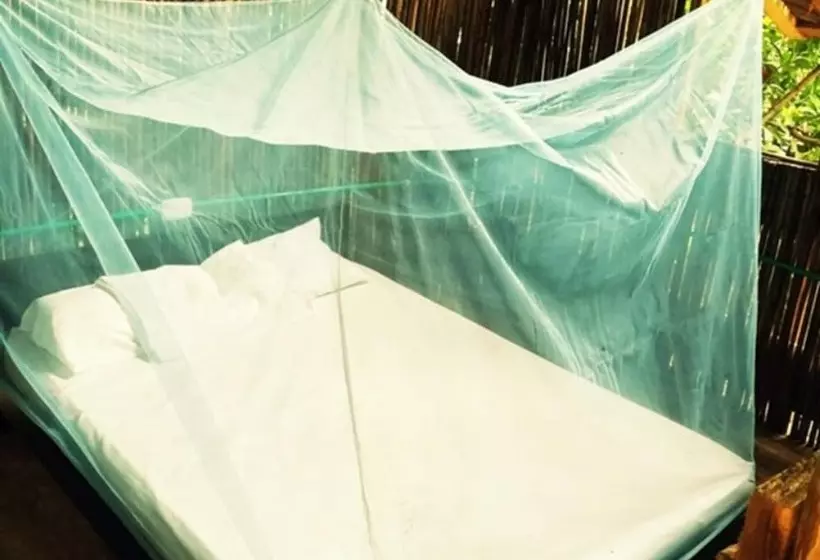 Oasis Hostal Restaurante