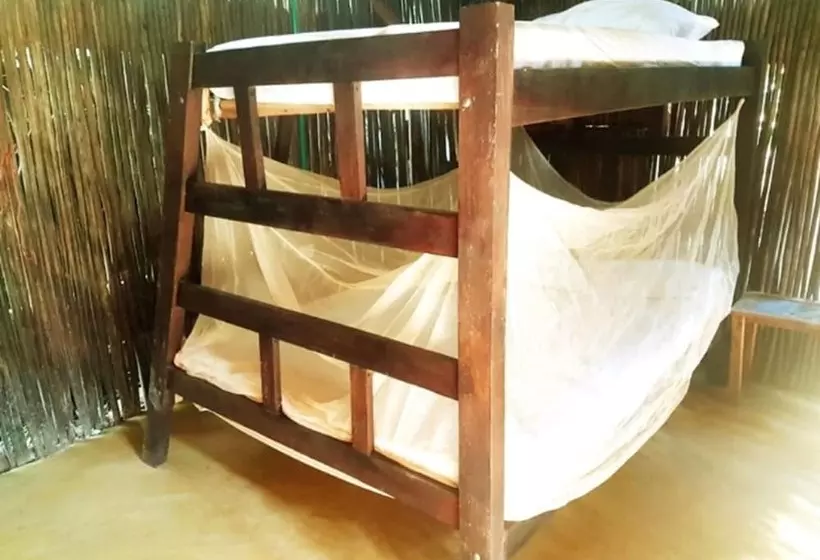 Oasis Hostal Restaurante