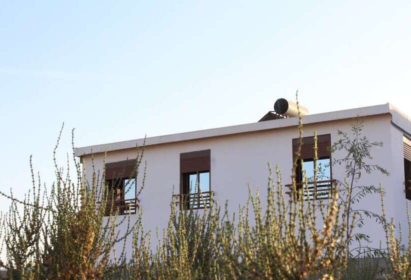 Surf Safari Morocco   Hostel