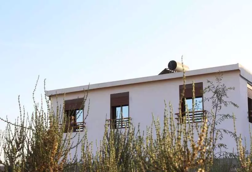 Surf Safari Morocco   Hostel