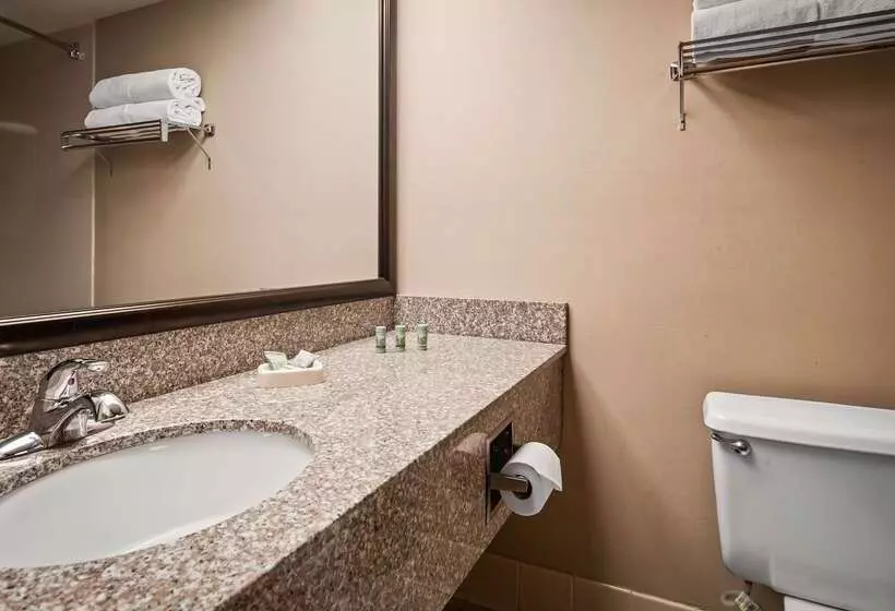 Отель Best Western East Towne Suites