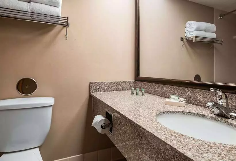 Отель Best Western East Towne Suites