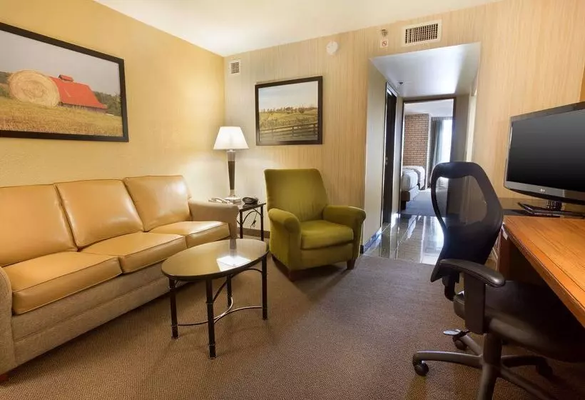 ホテル Drury Inn & Suites Paducah