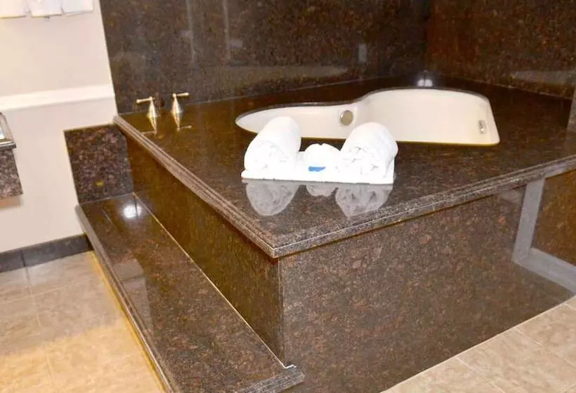 Hotel Dynasty Suites