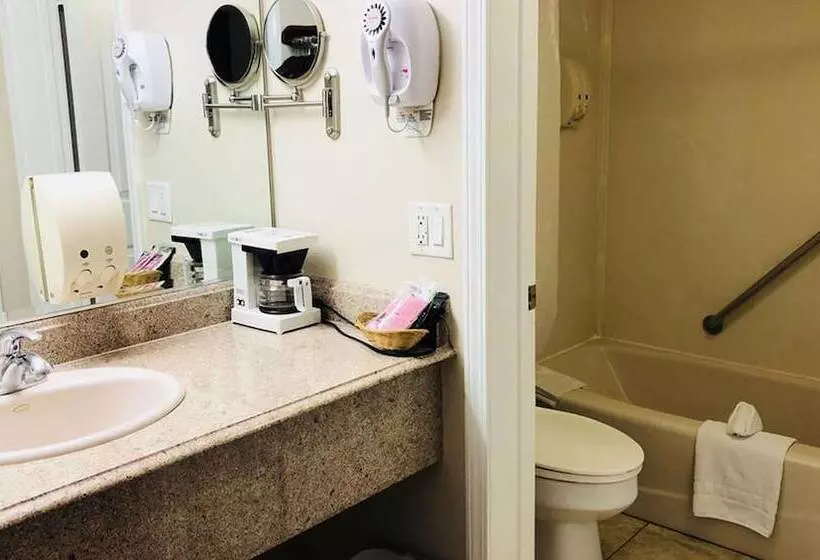 Hotel Dynasty Suites