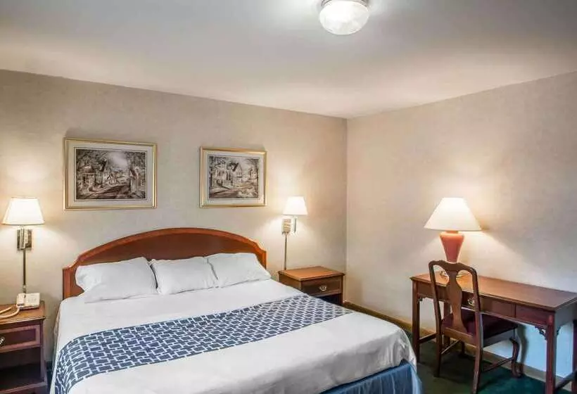 酒店 Econo Lodge Hornell