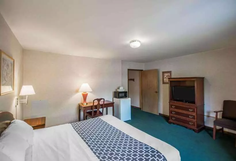 酒店 Econo Lodge Hornell