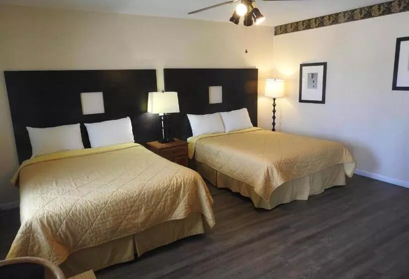 Отель Economy Inn