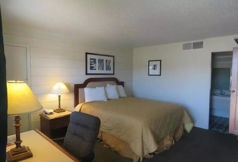 Отель Economy Inn