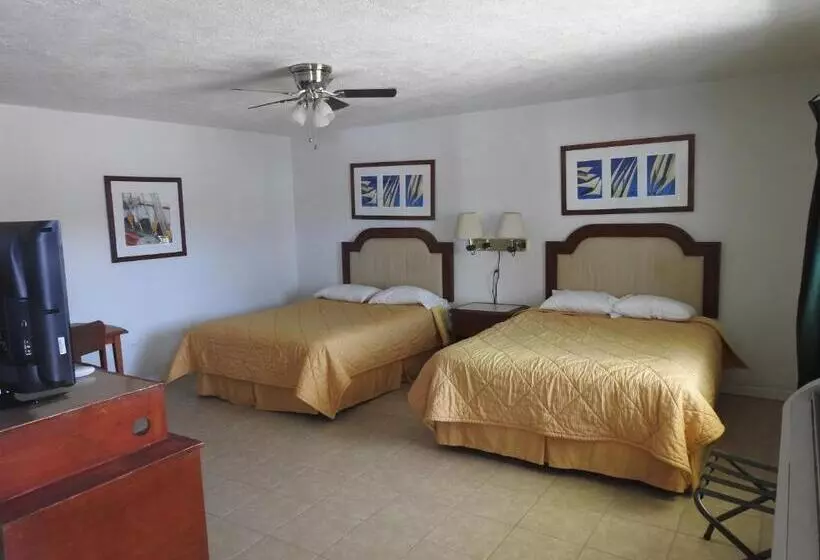 Отель Economy Inn