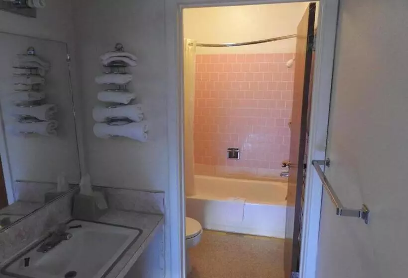 Отель Economy Inn