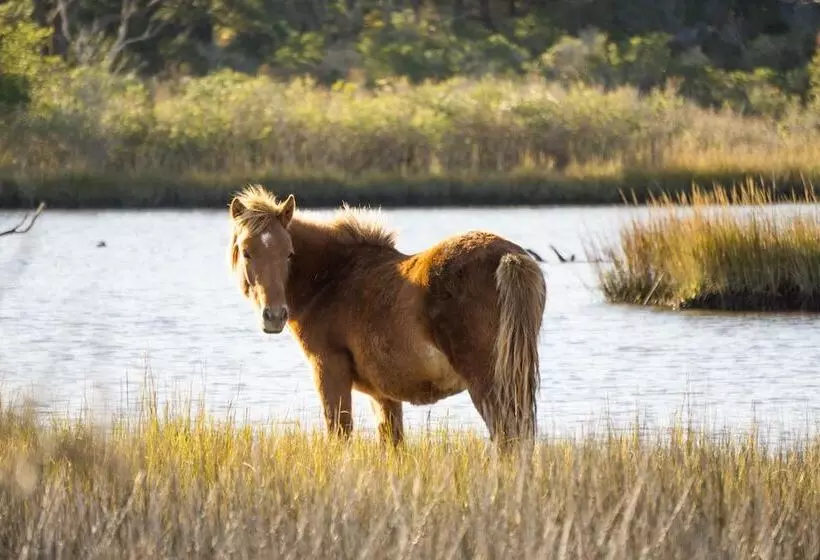 هتل Hilton Garden Inn Ocean City Oceanfront