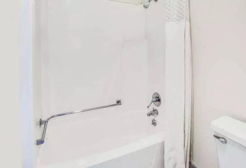 ホテル Rodeway Inn & Suites