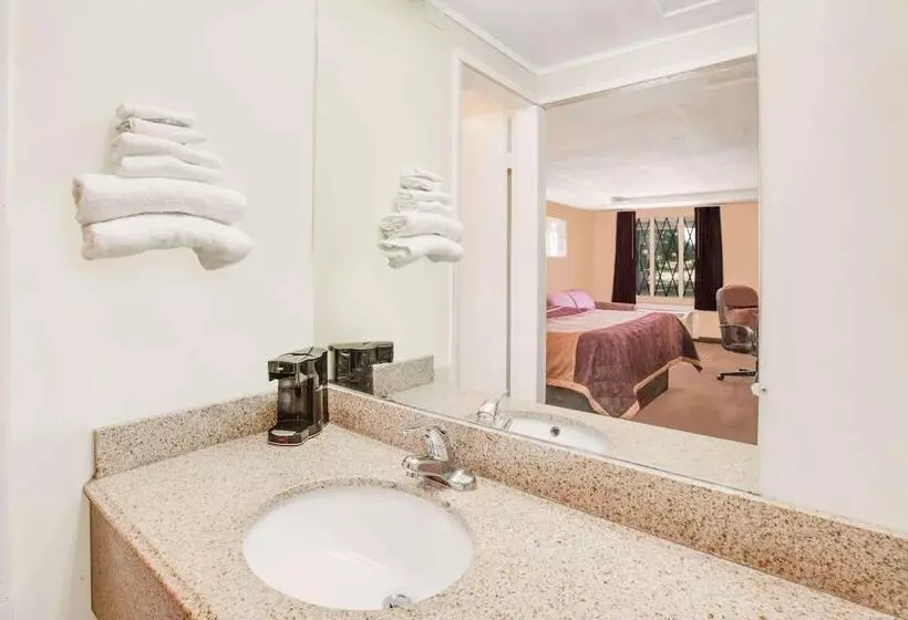 ホテル Rodeway Inn & Suites