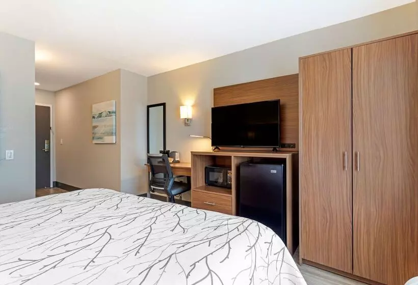 ホテル Leblanc, Bw Signature Collection