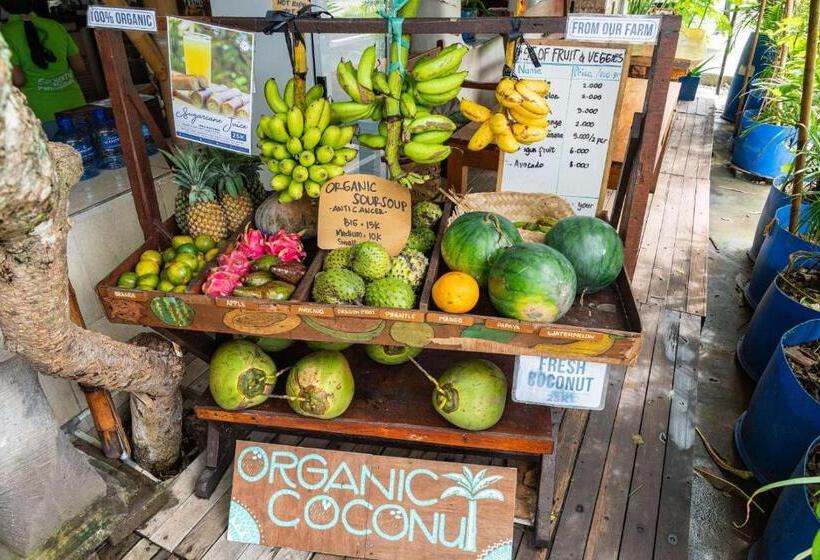 هاستل Serenity Eco Guesthouse   Chse Certified