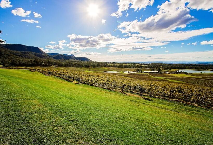 Audrey Wilkinson Vineyard